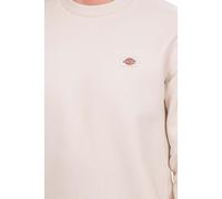Dickies Felpa Uomo Oakport Sweatshirt Panna M