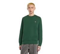 Dickies Felpe Verde DK0A4XCE VERDE L