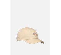 DICKIES HARDWICK men Caps beige in taglia:ONE SIZE