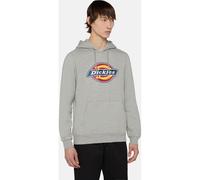 Dickies Icon Felpa con cappuccio con logo DK0A4XCB L