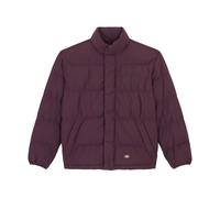 Dickies, ,Jackets ,Uomo ,Viola ,L Puffer Jacket Plum Perfect