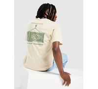 Dickies - Apison - T-shirt color cuoio chiaro con stampa grafica sul retro-Neutro S
