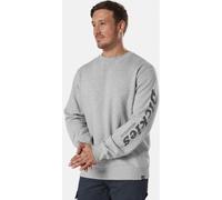 Dickies Felpa con stampa Okemo (BCI) Grigio melange XL
