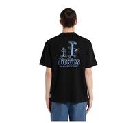 Dickies Fairlawn Short Sleeve T-shirt Nero XL Uomo