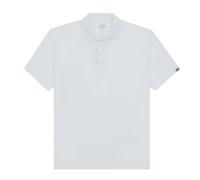Dickies Maglietta Polo Tutti i Giorni Uomo (FS10969)