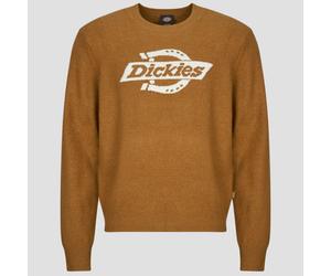 Dickies Maglione RUSTON SWEATER BROWN DUCK in Marrone EU S