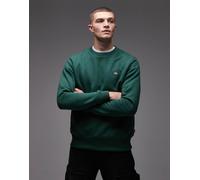 Dickies - Felpa casual da uomo - Oakport Sweatshirt Pine Needle Green per Uomo - Taglia L - Verde