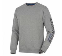 Dickies Felpa con stampa Okemo (BCI) Grigio melange XL