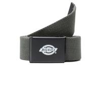 DICKIES ORCUTT WEBBING BELT