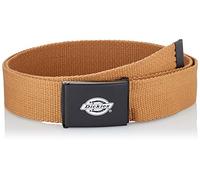 Orcutt Brown Duck by Dickies T.U Marrone