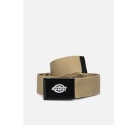 Dickies - Orcutt Webbing Belt Verde - Cinture T.U Verde