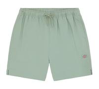 Dickies - Pelican Rapids - Pantaloncini S turchese