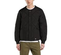 DICKIES - Piumino trapuntato uomo Samburg