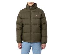 Dickies Piumino Waldenburg da Uomo - Verde Modello DK0A4XP2 Sintetico