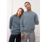 Dickies - Plentywood - Felpa blu medio slavato con logo piccolo XS