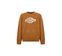 DICKIES Pullover 'Ruston' caramello / bianco Uomo DICKIES XS