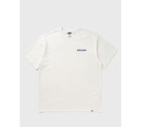 DICKIES STATESVILLE TEE SS men Shortsleeves beige in taglia:XL