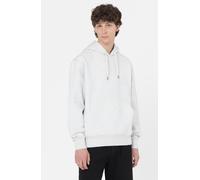 Dickies " Summerdale " Hoodie
