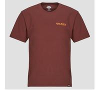 Dickies T-shirt BURNS TEE SS ANDORRA in Bordeaux EU XL