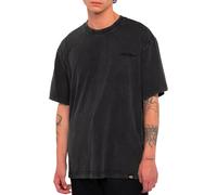 T-shirt Dickies Plentywood manica corta grigio ardesia - M