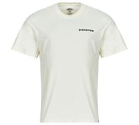 Dickies T-shirt LANDASCAPE SS TEE in Bianco EU M