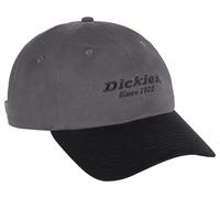Dickies Unisex - Adulto, Cappello in Twill, Grafite, OS