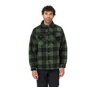 Dickies Uomo, Camicia Portland, VERDE, L