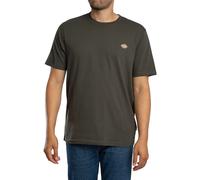 Dickies Maglietta A Maniche Corte Mapleton