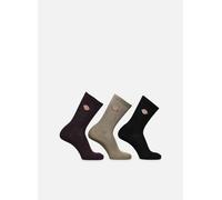 Dickies - Valley Grove Bordeaux - Calze e collant 35 - 38 Bordeaux