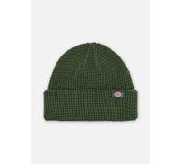 Dickies - Woodworth Waffle Beanie Verde - Berretto T.U Verde