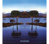 Dickinson, Bruce - Skunkworks