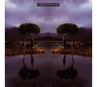 DICKINSON BRUCE - Skunkworks