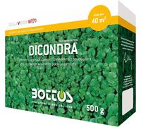 Dicondra 500 Grammi