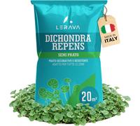 Dicondra Semi (20M²) - Non Richiede Taglio - Estrema Resistenza Alla Siccità - S