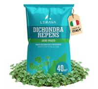 Dicondra Semi (40m²) Non Richiede Taglio, Estrema Resistenza Alla Siccità, 400g