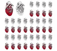 DICOSMETIC 60 Pz 2 Coloes Ciondoli Cuore Anatomico Rosso Argento Antico Ciondoli Organo Anatomico Ciondoli Tibetani Anatomia Umana Ciondoli in Lega per Creazione di Gioielli, Foro: 2.5 mm