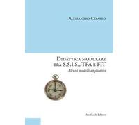 Didattica modulare tra S.S.I.S., TFA e FIT. Alcuni modelli applicativi