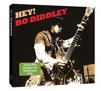 Diddley,Bo - Hey Bo Diddley (2cd)