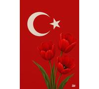 Didi Journals: The Turkey Notebook