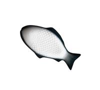 Didiseaon Ceramic Tableware Elegante Piatto Ceramica Forma Di Pesce Per Snack e Stoccaggio Per Eventi e Ristoranti Colore Verde Scuro