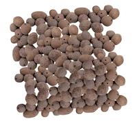 Didiseaon Ceramsite di Drenaggio per Piante, Argilla Espansa Traspirante per Giardinaggio in Vaso, Confezione da 1 kg per Coltivazione e Decorazione di Fiori e Piante Succulente