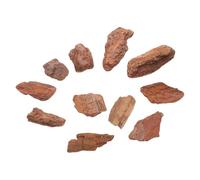 Didiseaon Corteccia Versatile Secca Naturale per Modellismo 1 Confezione per Paesaggi e Diorami Miniature per Esposizioni Educative e Scenografie Ferroviarie