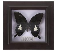 Didiseaon Esemplare di Farfalla Simulata Fatto a Mano in Cornice Decorativa da Parete in Legno e Acrilico Ornamento Duraturo per Decorazione Casa e Regalo per Collezionisti per Soggiorno