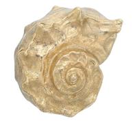 Didiseaon Maniglia Decorativa in Ottone per Porta Vintage a Forma di Ammonite Resistente All'usura Sensazione Confortevole, per Interni e Camere