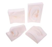 Didiseaon Modello di Schizzo Artistico Organi Senso Set da 4 Pezzi Resistente in PVC per Principianti Pratica Disegno Scuola Ufficio Casa