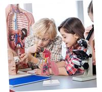 Didiseaon Modello Didattico Polmone Modello Educativo per Insegnamento Respirazione Respiratorie Strumento Didattico per Laboratorio
