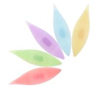 Didiseaon Set 5 Navette in Plastica Colorate per Lavori a Maglia Fai da Te Strumenti per Tessitura e Cucito Artigianale Accessori Portatili per Progetti di Frivolite Come Sciarpe e