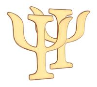 Didiseaon Spille Decorative Psicologia in Lega Dorata, Set 2 Pezzi, Spille da Bavero Vintage per Abbigliamento, Maglioni e Cappelli, Accessori Unisex per Donne e Uomini