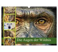 Die Augen der Wildnis (Wandkalender 2027 DIN A3 quer), CALVENDO Monatskalender