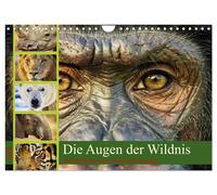 Die Augen der Wildnis (Wandkalender 2027 DIN A4 quer), CALVENDO Monatskalender